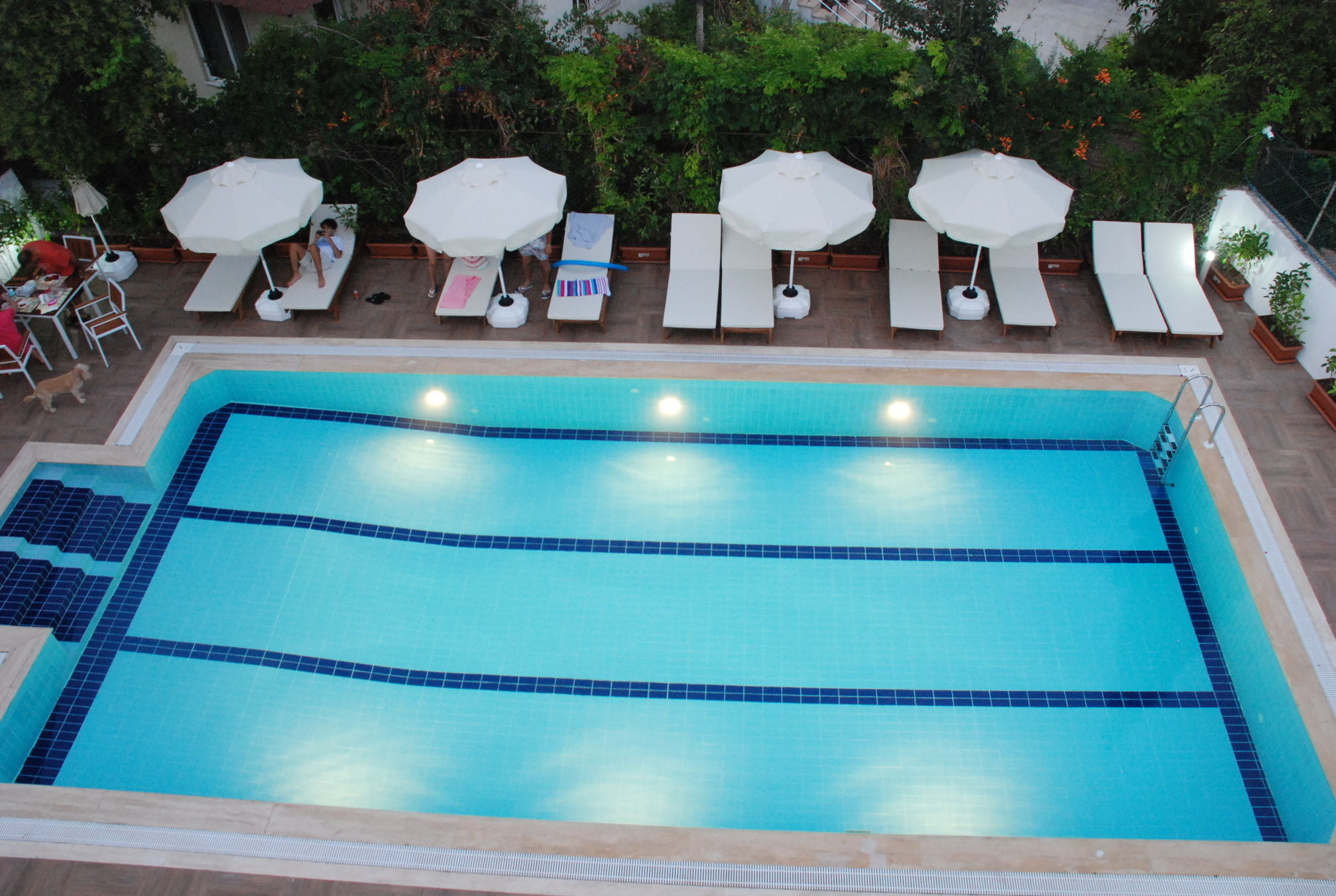 Elegance Hotel Kemer Eksteriør bilde